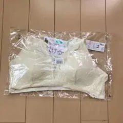 Item thumbnail for item 20b64b19-31f5-4915-9a22-9dba500eabfa