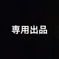 専用出品