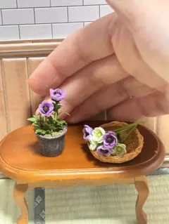 ミニチュアフラワー　アネモネセット