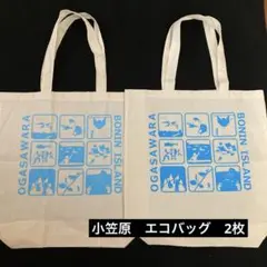 小笠原　エコバッグ　2枚セット