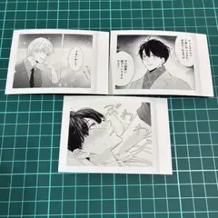 アフター・ミッドナイト・スキン③ ぱしゃこれ