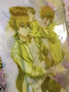 ♡Free! 渚ハズキ クリアファイル♡