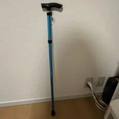 Item thumbnail for item 3ca9c137-0096-4c28-aef0-e32ad1140c69