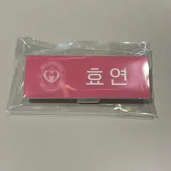 SMTOWN LIVE 2025 ネームバッジ 少女時代 ヒョヨン