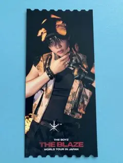 THE BOYZ ソヌ　ドボイズ　ピクチャーチケット