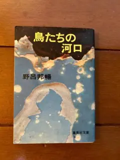 野呂邦暢　鳥たちの河口　集英社文庫　小説