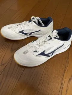 Mizuno wave drive 9 24センチ