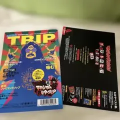 マシキマムザ亮君のマキシマムザ合法トリップ