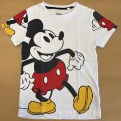 Item thumbnail for item aa460b0e-f13d-4543-9532-cf6cc98f0cc8