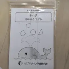 ピグマリオン キハチ