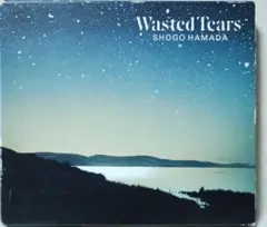 浜田省吾 WASTED TEARS★初回盤 ケース+ブックレット付★12061
