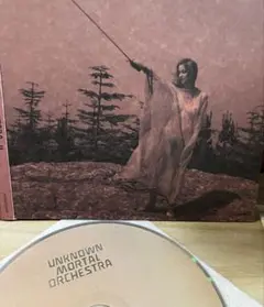 UNKNOWN MORTAL ORCHESTRA II
