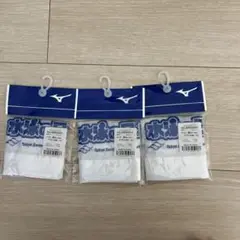 Mizuno スイムキャップ　メッシュキャップ　水泳の日