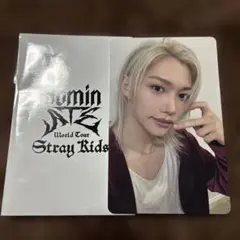 straykids dominate 購入特典 フィリックス トレカ