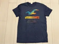 Hollister カラフルシーガル Tシャツ M