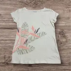 アロハスタンダード　ストレリチア&リーフ　Tシャツ Mサイズ　ホワイト