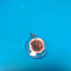 Item thumbnail for item e63e1bd9-5126-4ecc-a5e1-2bb9ee2336fa