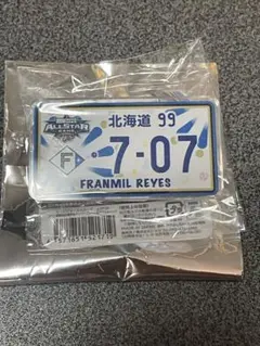 オールスターゲーム　シークレットナンバープレート風アクリルバッジ　レイエス