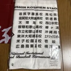 Item thumbnail for item eb713a5c-4fc4-40fe-85ac-467f982f70c5