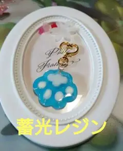 暗闇で光る蓄光タイプ肉球タイプシェイカーチャーム、キーホルダー