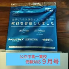 進研ゼミ　小学講座オプション教材　公立中高一貫受験対応　未使用
