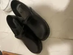 トロエントープ ゴッホ
