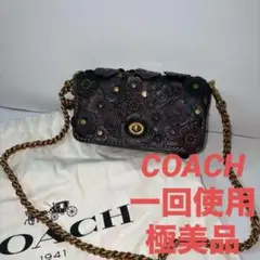 極美品 コーチ ディンキー ウィズ ウィズローズ ティーローズ　ショルダーバッグ