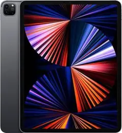 【極美品】iPad Pro 12.9インチ 第5世代 WiFiモデル 256GB