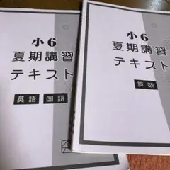 小6 夏期講習 テキスト 英語 国語　算数