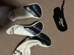 Item thumbnail for item 2b35e001-4736-4c0d-bca0-c21ec7681ed4