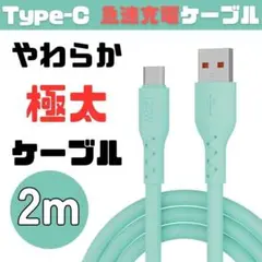 【新品未使用】Type-C 充電ケーブル USB PD 2m 急速充電 緑