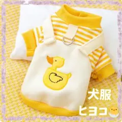 Item thumbnail for item eaac660f-a8bf-4541-b74d-f12cc8d944fd