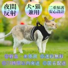 Item thumbnail for item a44b4859-d714-4b1c-8e5d-376b87d1bf33