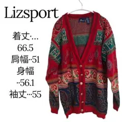 美品✨Lizsport 【P】多色柄 Vネックカーディガン オシャレ 秋冬
