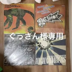新品 未使用 スカパラ 椎名林檎 レコード アナログ LP