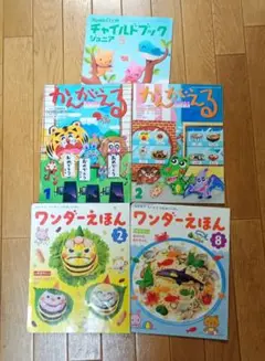 絵本セット チャイルドブック がくしゅう版 かんがえる ワンダーえほん