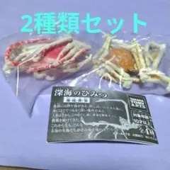 ③あそべる生物フィギュアシリーズ 深海のひみつ 海・底・世・界（2種類セット）