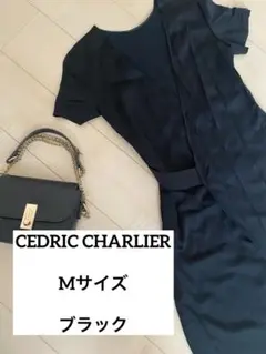 ♡CEDRIC CHARLIER♡イタリア　セドリックシャルリエラップ