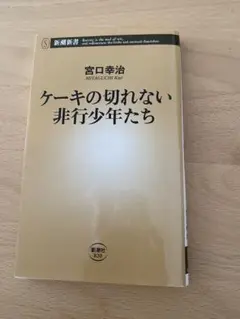 ケーキの切れない非行少年たち 宮口幸治