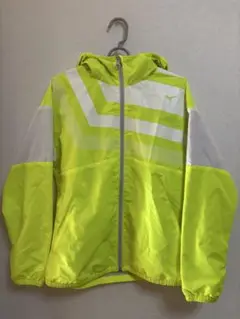 Item thumbnail for item 89561b7a-41d7-428e-831d-99a0292d772a