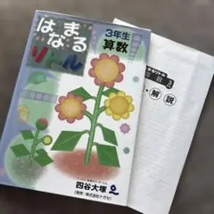 はなまるリトル 3年生 算数