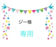 ジー様　専用