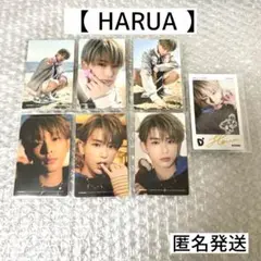 &TEAM HARUA ハルア D'PARTMENT トレカ チェキ ハラカド