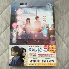 余命一年と宣告された僕が、余命半年の君と出会った話