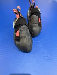 スポルディバ　セオリー