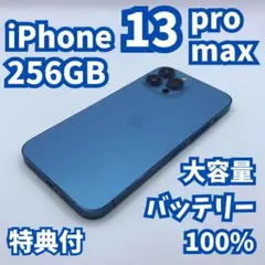 Item thumbnail for item 58eb541e-9624-4a72-a313-8dd1cc06a8be