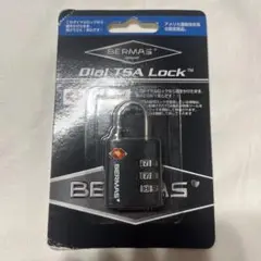 Item thumbnail for item 40950269-aef3-45a4-8d1d-eca67a4aeb8d
