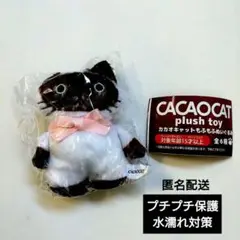 カカオキャットもふもふぬいぐるみ シャム #C-pla限定　CACAOCAT