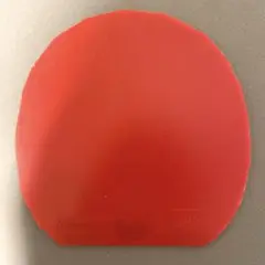ディグニクス80