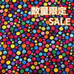 マイケルミラー生地　カラフルドット110×45